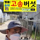 오학농장 네이버블로그