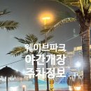엠티브이22로92번길 | 거북섬 워터파크 웨이브파크 미오코스타 야간 주차정보 후기