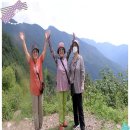 벽송식당 이미지