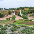 코리아플라워파크 이미지