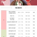 소통과 공감의 타로 심리(기본) 이미지