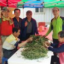 반갑소 농장 이미지