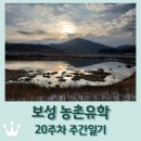 보성 농촌유학 20주차 / 2024년 시작!