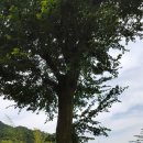 뒷동산농원 이미지