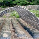 대광농장 이미지