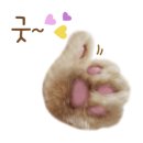 그루밍댕댕 이미지