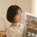 효소명가