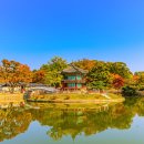 향원정 - 마포구 양화로7길 28 | 향원정