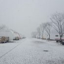 백마강오토캠핑장 이미지