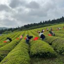 보성군농업기술센터 이미지