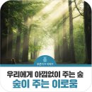 아낌없이주는숲연구소 이미지