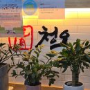 청오반점 이미지