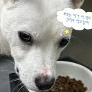 회성극장 | 와 여름이다~🍉🌊🍑💦