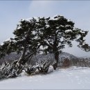 강천, 금성산성(鐵馬山城:465m)) 심설 산행 후 내고향 풍경*2017.1.21.토.* 이미지