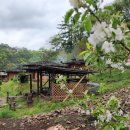 가고픈흙집 이미지