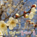 창평약국 이미지