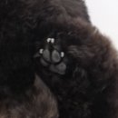 러브썸그루밍샵 이미지