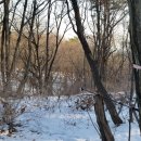 손골공원 이미지