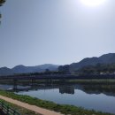 대차리 남대천변 네이버블로그