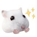 악쓰는하마 코인노래연습장 이미지