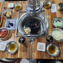 은행나무갈매기 이미지