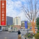 온천지구 외 가로수길 | 덕산 스플라스리솜 사우나 실리카 보양온천수 국내 온천여행 추천