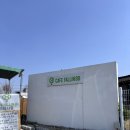 놀러오개 애견유치원 애견호텔 울산동구점 | [대구애견카페/대구야외애견카페]대구 동구 이시아폴리스 근처 폴인80 야외애견카페