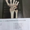 11500-12-33-102 | 방사선학과 편입 후 일상 vlog/ 편입생 적응기/ 건양대 방사선학과 편입후기_ 1탄