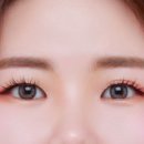 데일리안경원 위드렌즈 이미지