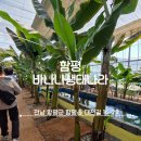 영성오리농장 | 함평바나나생태나라 피자체험 낚시 동물교감 3시간 완벽 나들이 후기