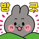 동강솔펜션 이미지