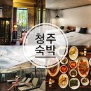 호텔뮤제오(HOTEL MUSEO) | 청주 터미널 호텔 뮤제오 시내 숙소 레스토랑 수영장 호캉스