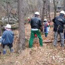 함양톱밥 이미지