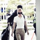 로제
