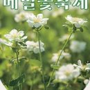 마이스인제주