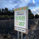 텐저린시티 이미지