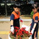 대봉초등학교 이미지