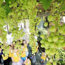 중흥2동 주민센터 이미지