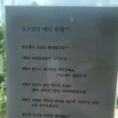 용추밸리캠프펜션 | 8월 3일 용추밸리캠프펜션