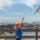 강하파출소 | 오이도 갯벌 체험 준비물 주차 리얼후기 /서울근교 갯벌체험