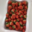 벧엘농장2 이미지