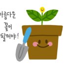 웹콕