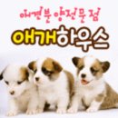 애개 하우스 이미지