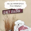 부부로2 | 제주 구좌 이태리부부 문어구이 파스타 애견동반후기