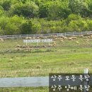 모동스토어 | 상주 아이랑 가 볼 만한 곳 "상주 모동 목장"