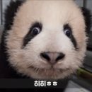 웨딩프로포즈 이미지