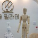 위글 필라테스 | 야탑필라테스 신규오픈센터 위글필라테스 방문 후기