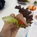 낚시나잡이봐라 | 내돈내산 화천 산천어축제 후기(존잼!)ㅣ8시 도착, 예약낚시터, 눈썰매, 간식 및 먹거리