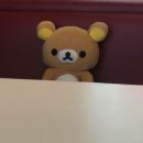 (주)그루비테이블 | 피곤피곤하다 피곤피곤한