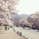 [수정라] 03.27.과천 경마공원(서울대공원)갑니다. 이미지
